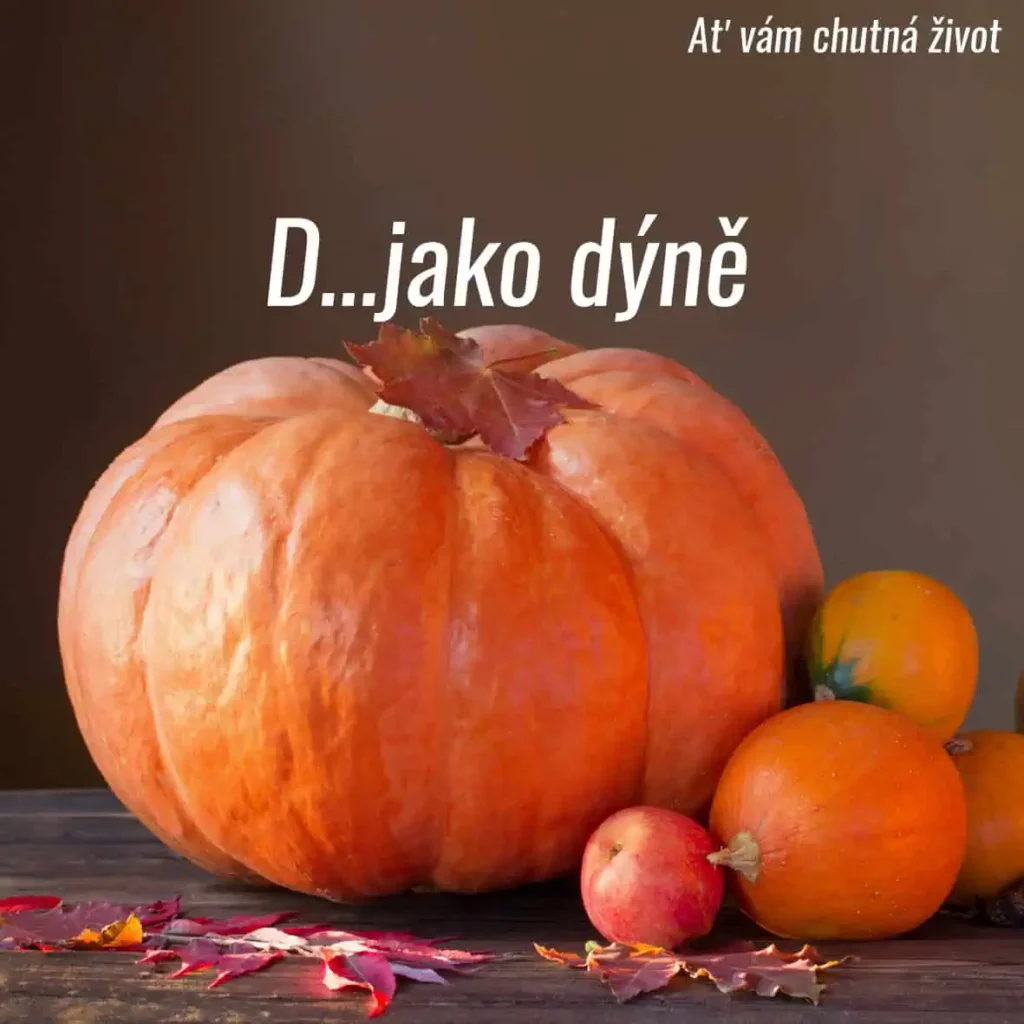 Právě si prohlížíte D… jako dýně