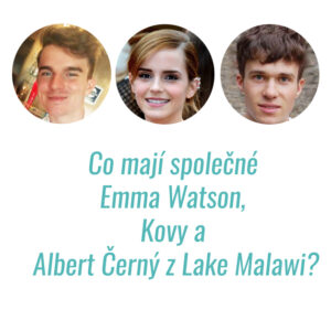 Přečtete si více ze článku Co mají společného Emma Watson, Kovy a Albert Černý z Lake Malawi?