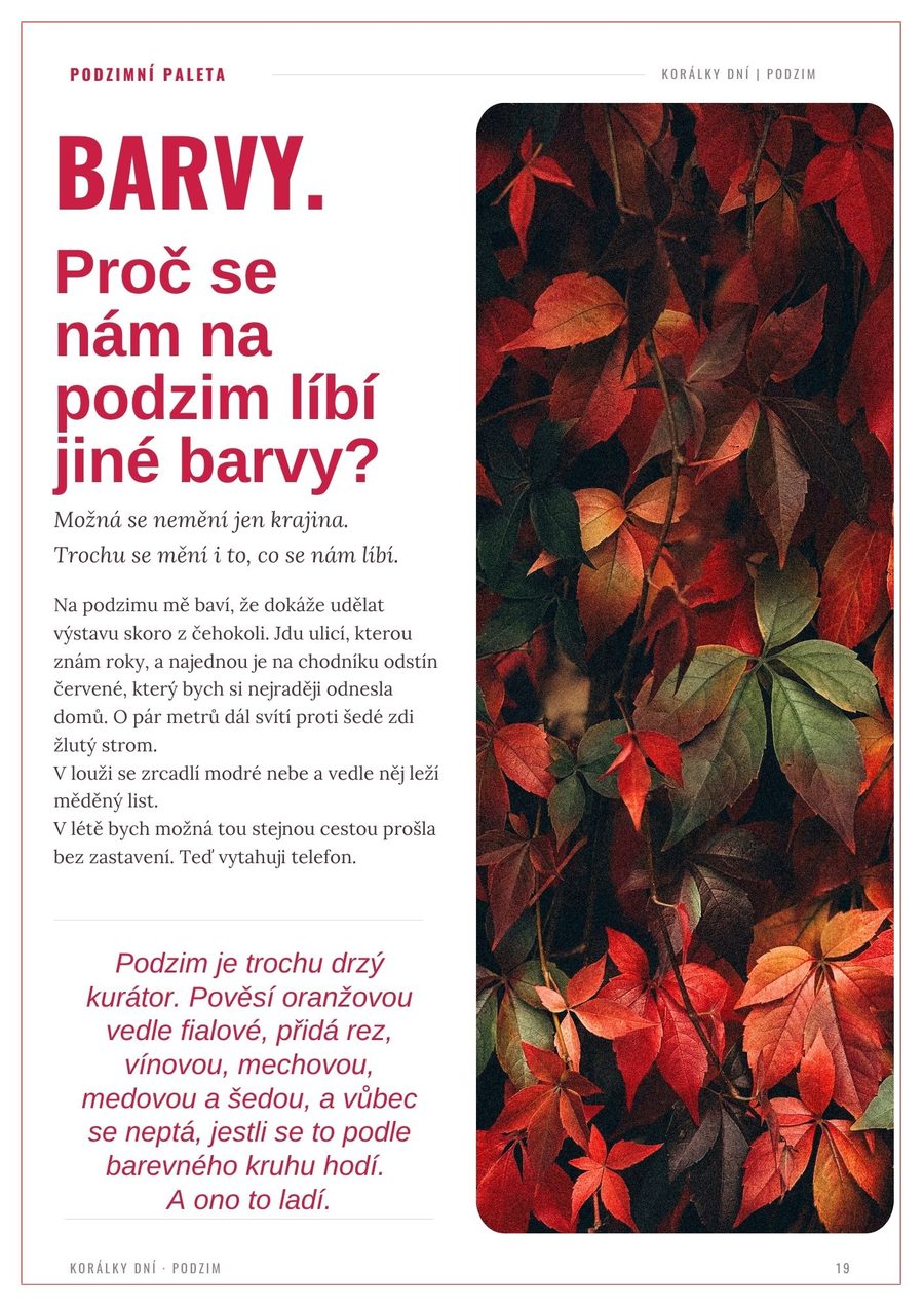 Proč se nám na podzim líbí jiné barvy