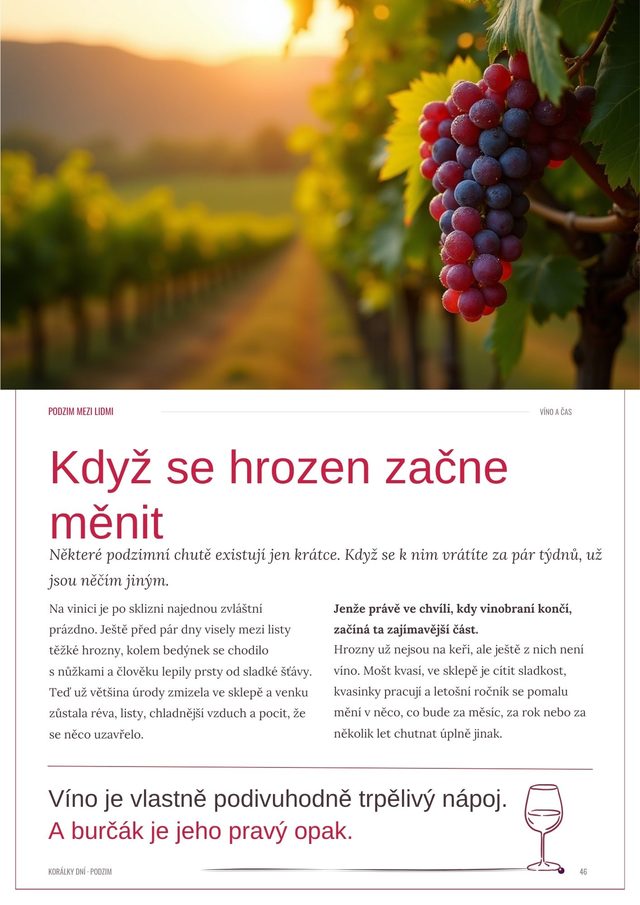 Strana o vinobraní